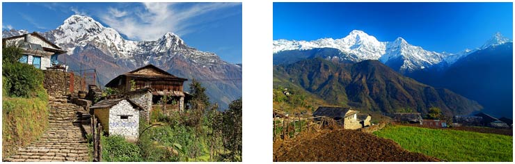 Ghorepani Poon Hill Trek